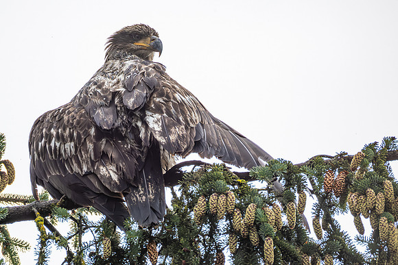 untitled-1461BK7A1461